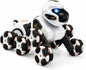 8WD RC Stunt Car with 360° Rotation, Spray & LED